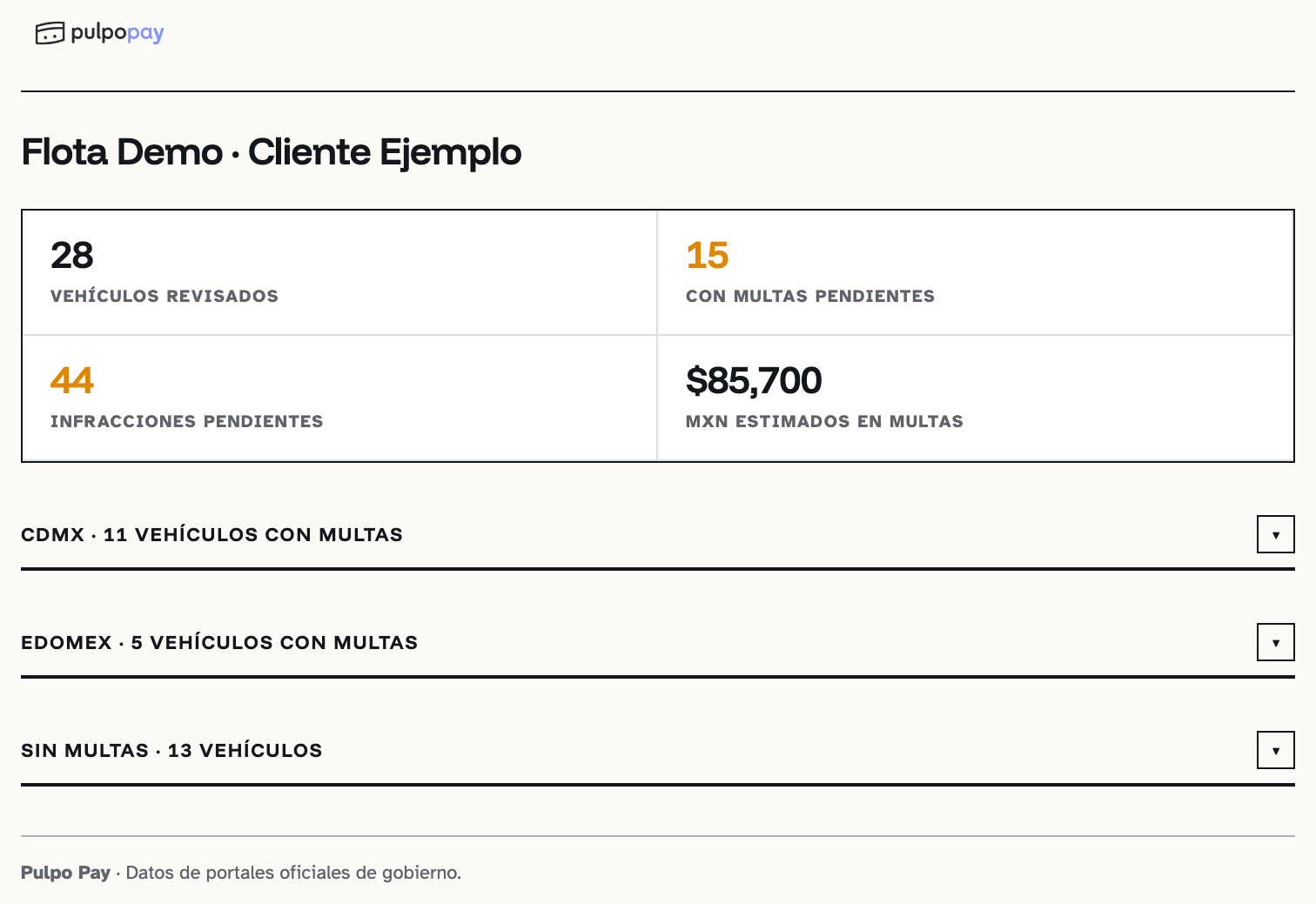 Pulpo Multas — vista del reporte
